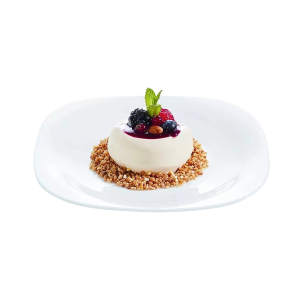 Plato Cuadrado B 20.5 cm - 12 Pz - Image 2